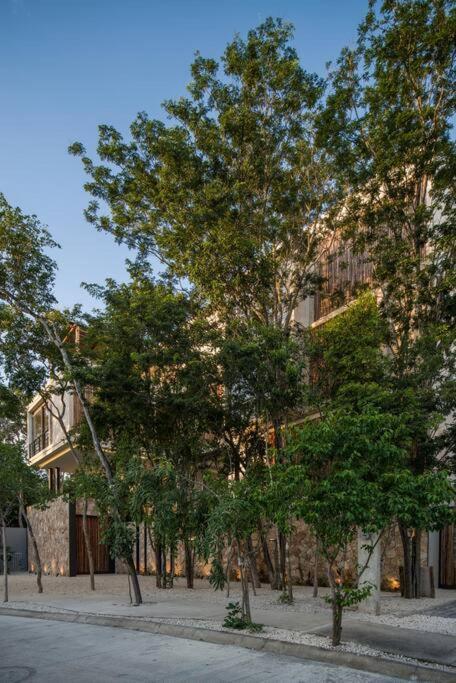 Beyond Amazing 3bd 2br/ Balcony Apartamento Tulum