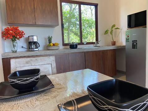 Apartamento Basic La Veleta