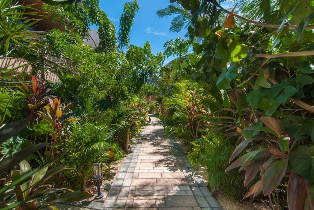 Casa Mimosa-private Paradise *
