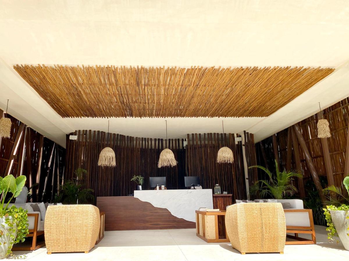 Luxurious Jungle Apartamento *