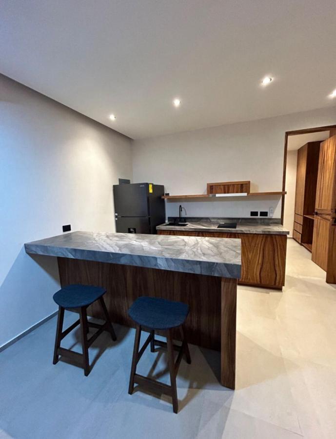 Depto#2 Lujoso Departamento En 1 Rec Tulum