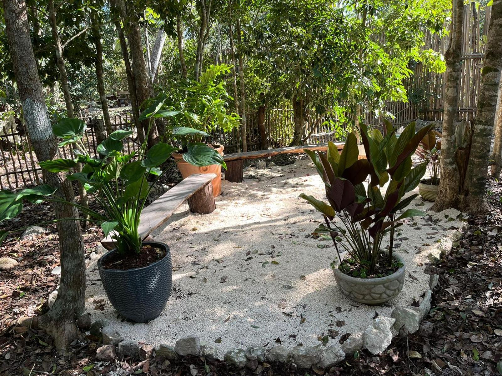 Selvaluna Eco-chic En Medio De La Selva Villa Tulum