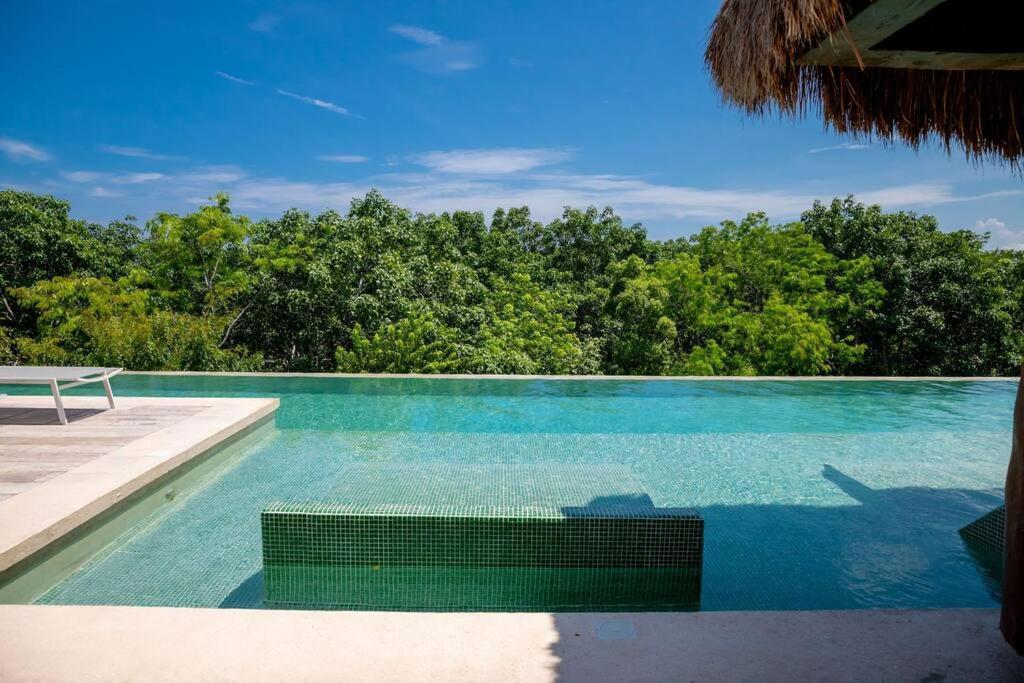 Apartamento 2 Bedroom W/amazing Rooftop & Jungle Views *