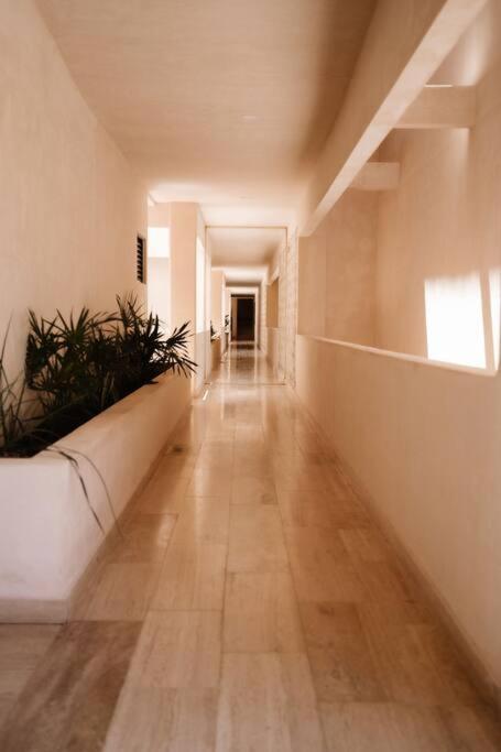 2 Bedroom W/amazing Rooftop & Jungle Views Apartamento *