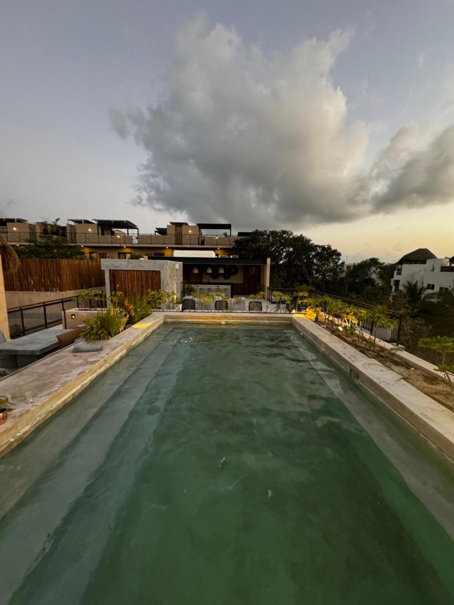 Apartamento ºselva Misticaº Estela New Cozy Skypool 1 Bdr And 2 Bikes Free