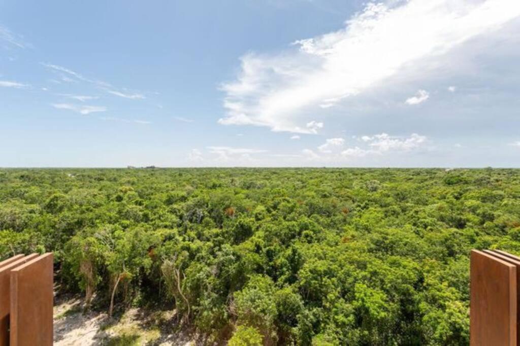 New Charming With Terrace Apartamento Tulum