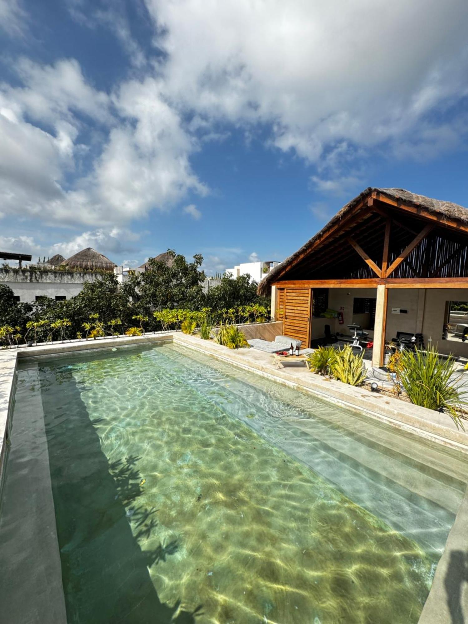 Apartamento ºselva Misticaº Estela New Cozy Skypool 1 Bdr And 2 Bikes Free