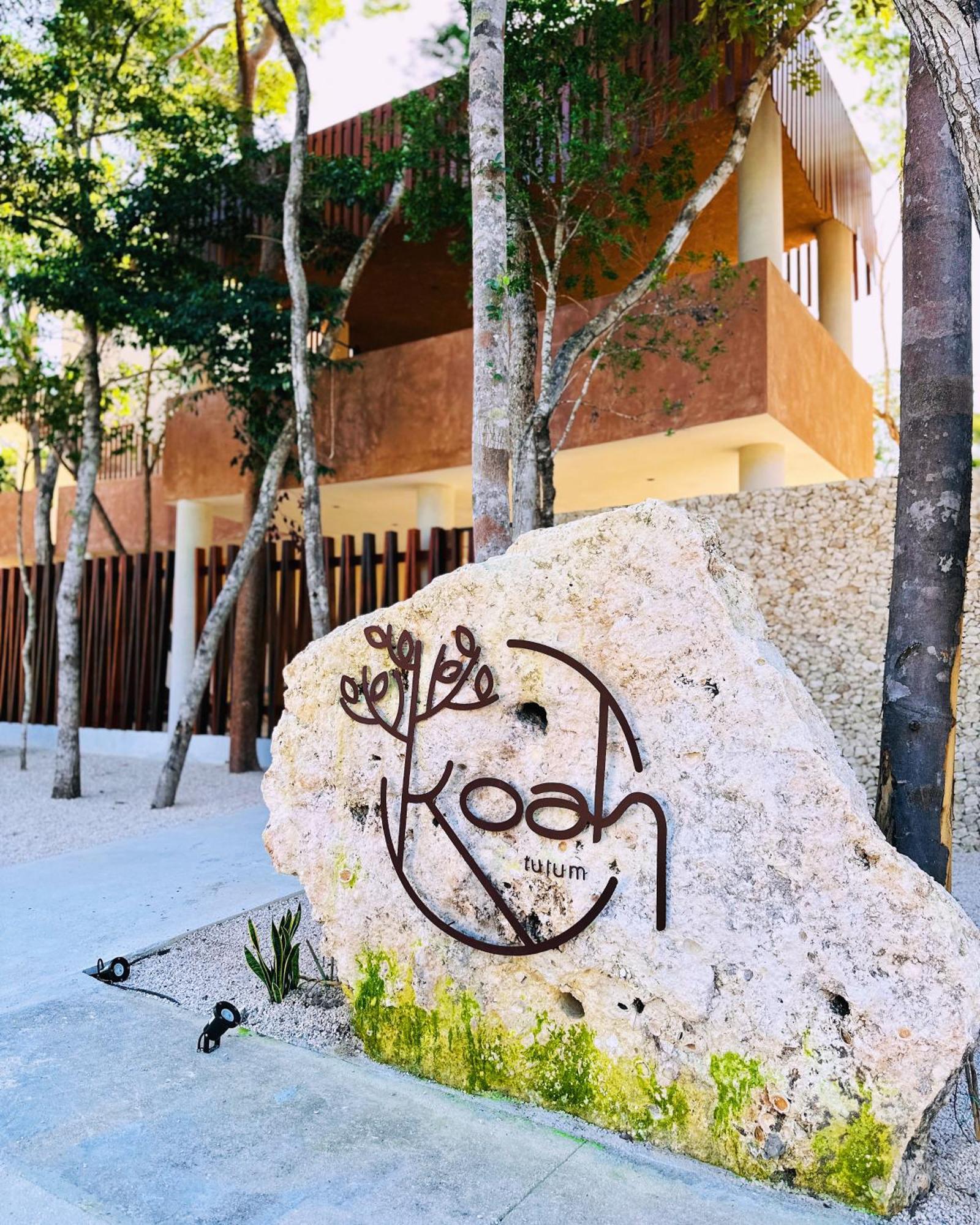 Apartamento *jungle Ph W/pool, Close To Downtown & Tulum
