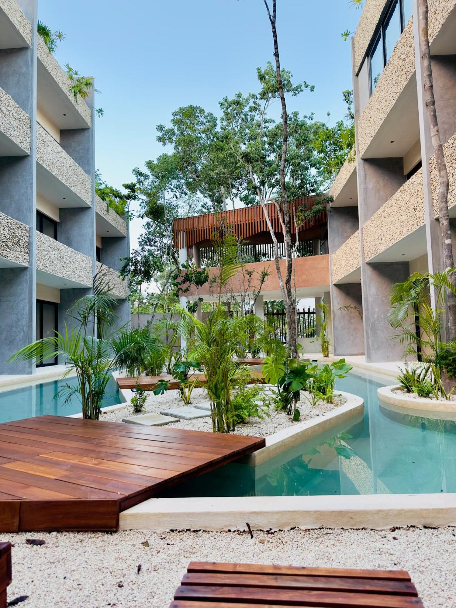 *jungle Ph W/pool, Close To Downtown & * Tulum