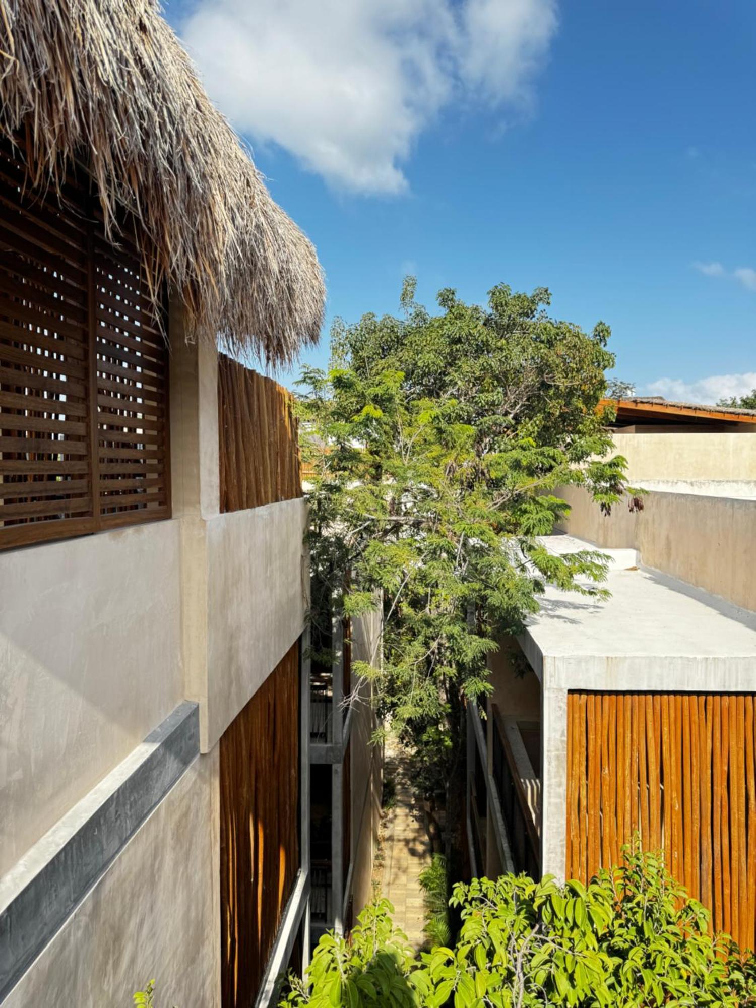ºselva Misticaº Estela New Cozy Skypool 1 Bdr And 2 Bikes Free Apartamento *