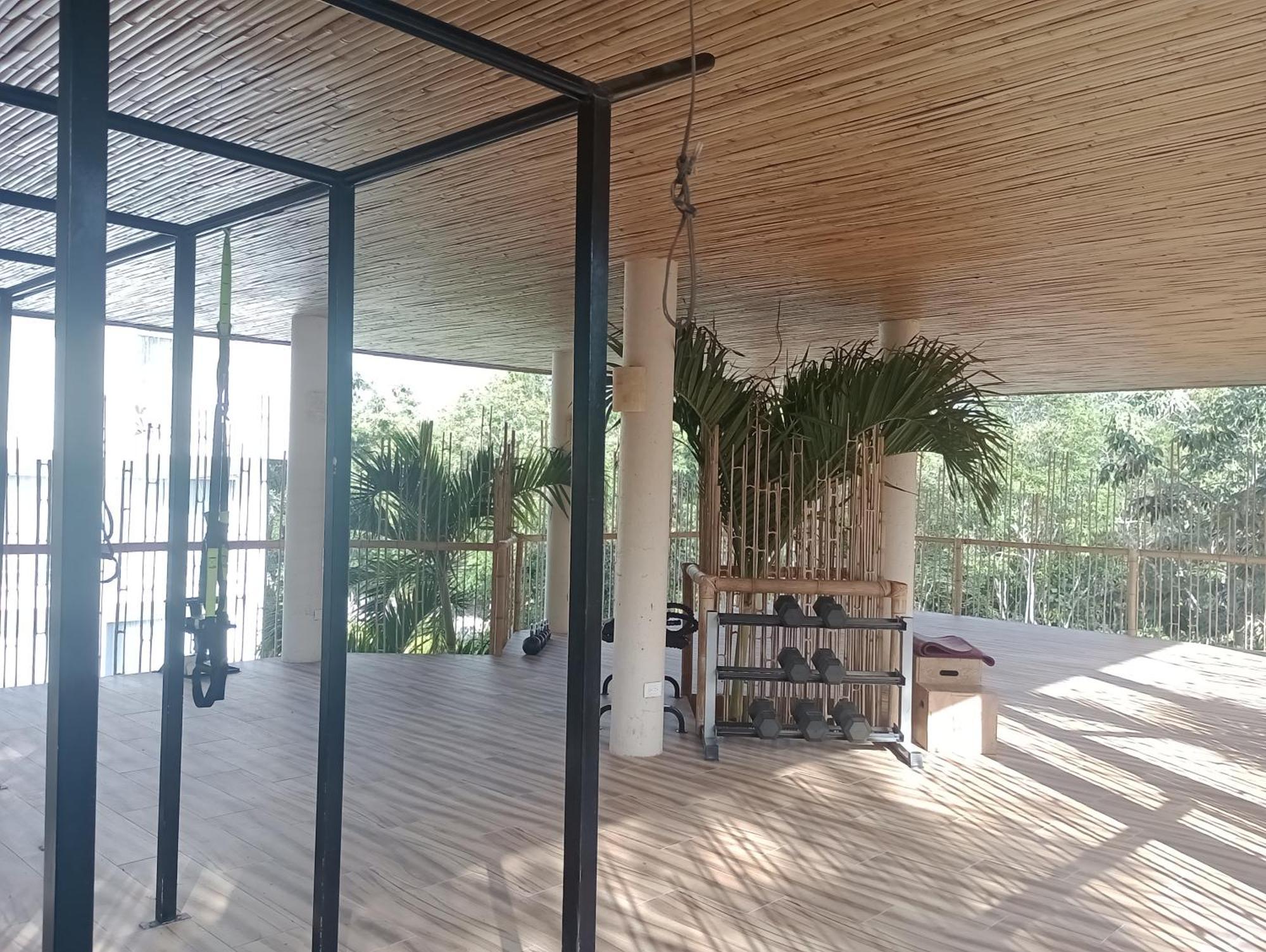 Estudios En Muuk *