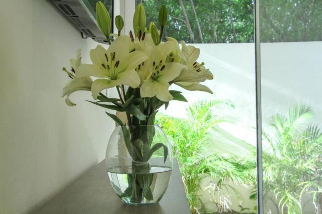 Apartamento Aqua De Sal 01 Private Casa At Aldea Zama Sleeps 5