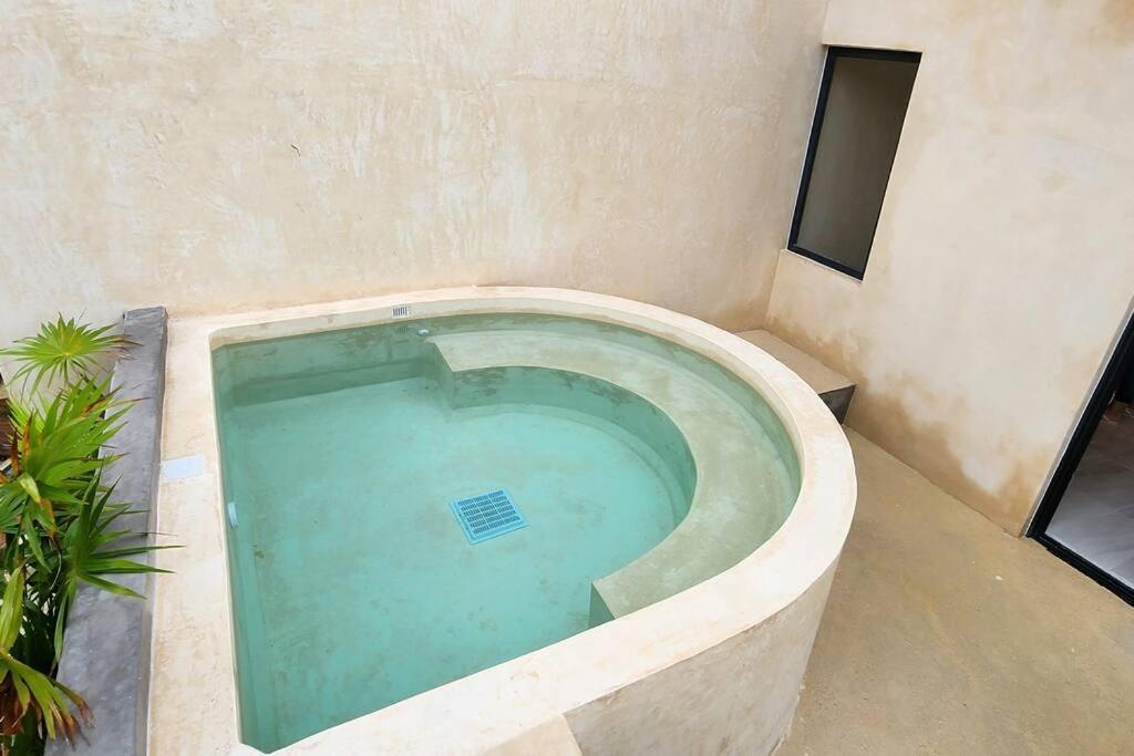 Con Terraza, Pileta Y Bano Completo Apartment Tulum