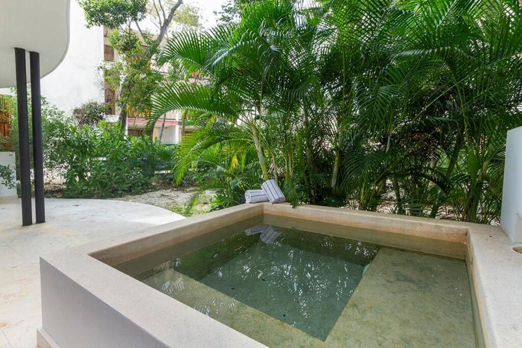 2 Bedroom + Private Pool And Roof Top Terrace Apartamento Tulum