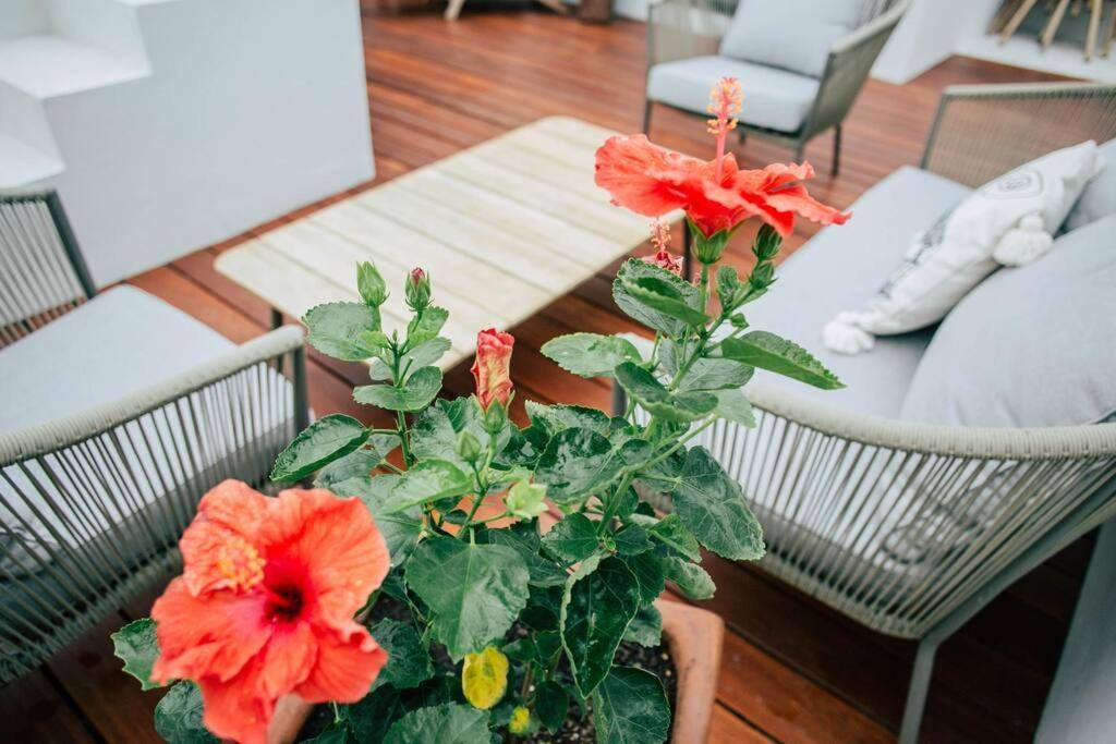 Apartamento Romantic Roof Penthouse! Bbq And Priv. Pool *