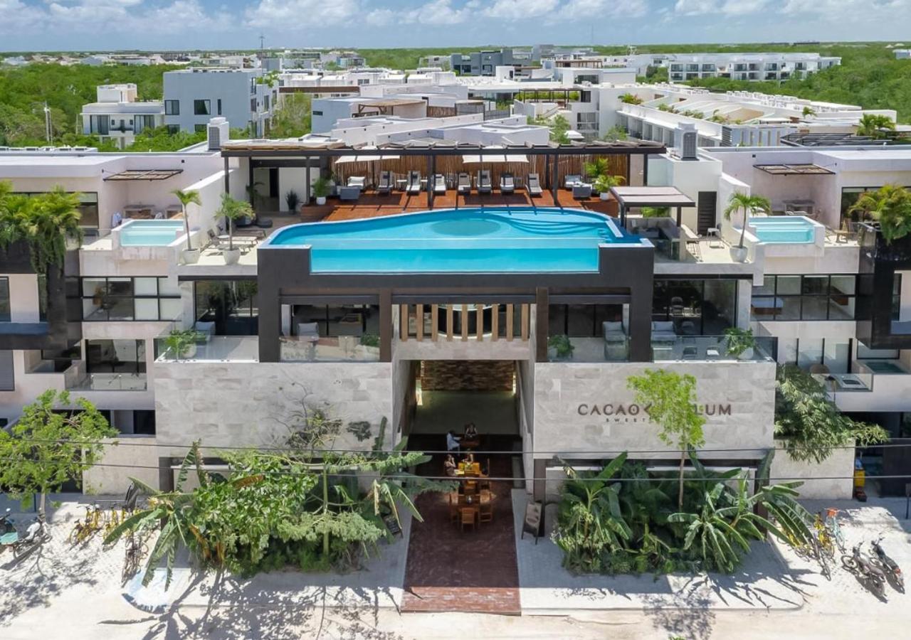 Cacao Estudio Con Alberca Privada Y Gym Tulum