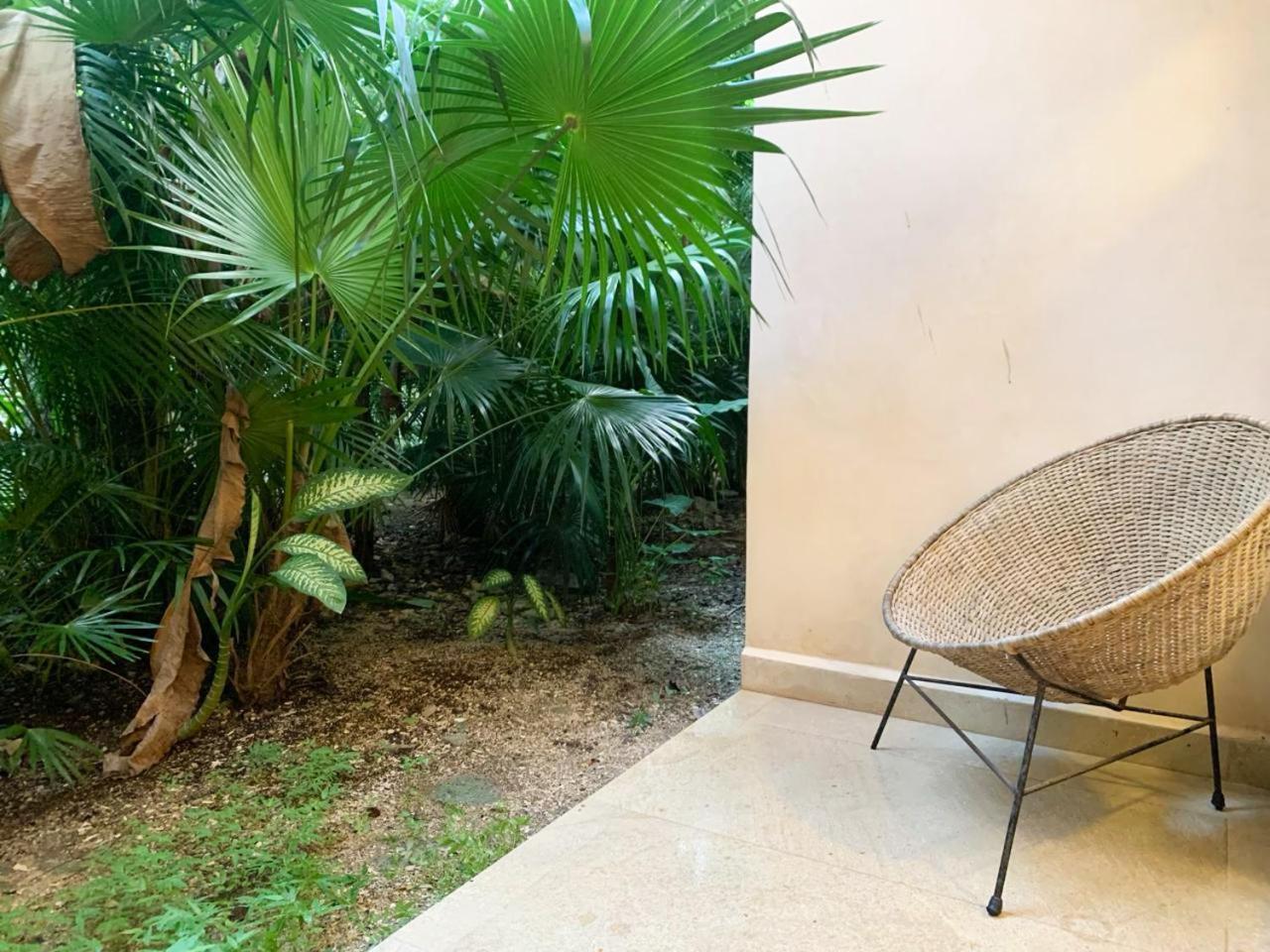 Cacao Estudio Con Alberca Privada Y Gym Apartamento