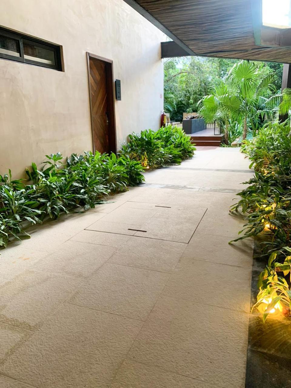 Cacao Estudio Con Alberca Privada Y Gym Tulum