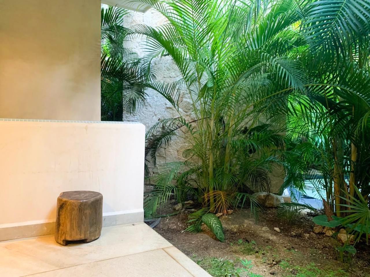 Apartamento Cacao Estudio Con Alberca Privada Y Gym *