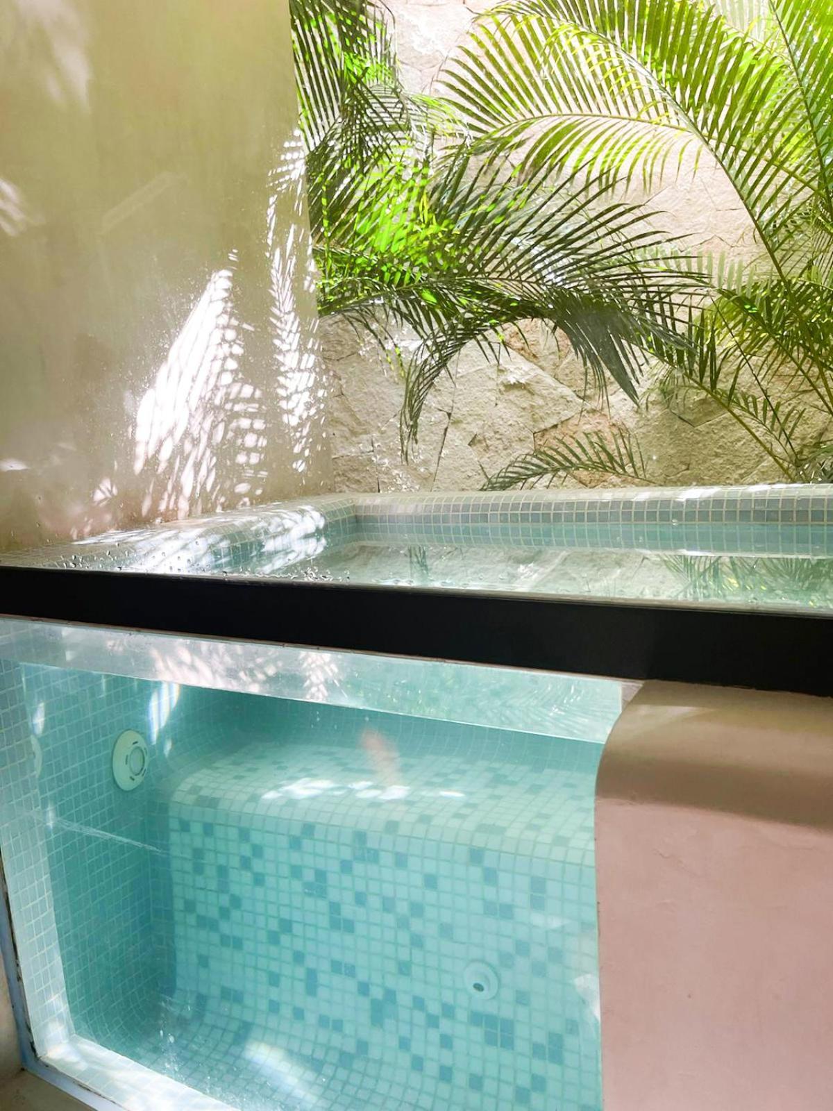 Cacao Estudio Con Alberca Privada Y Gym Apartamento *