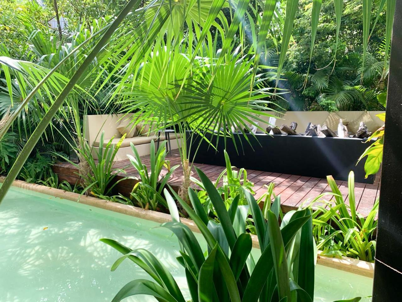 Cacao Estudio Con Alberca Privada Y Gym Tulum