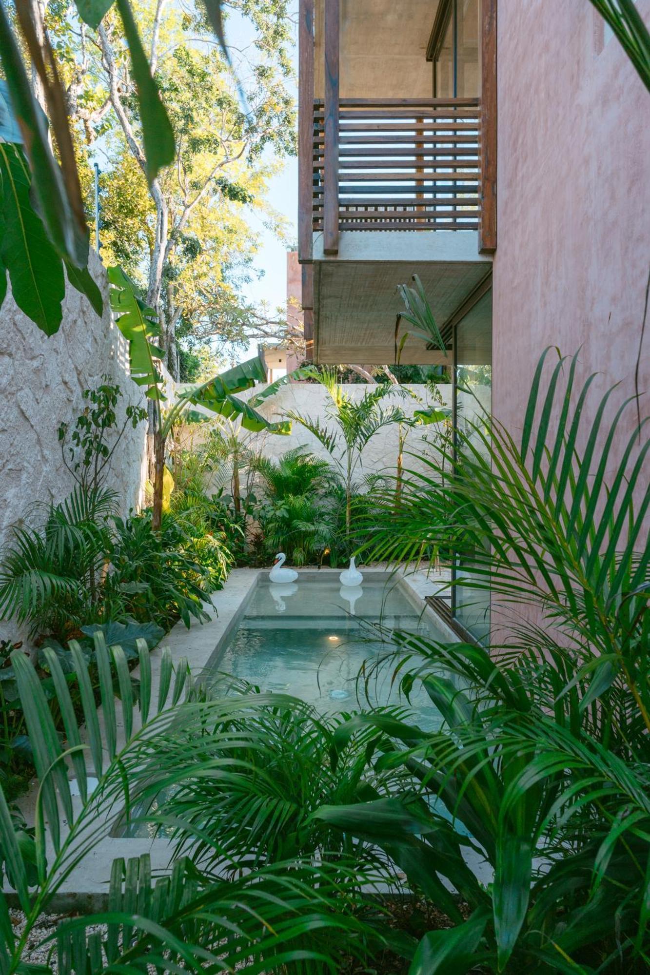 Entorno - Luxury Villa *