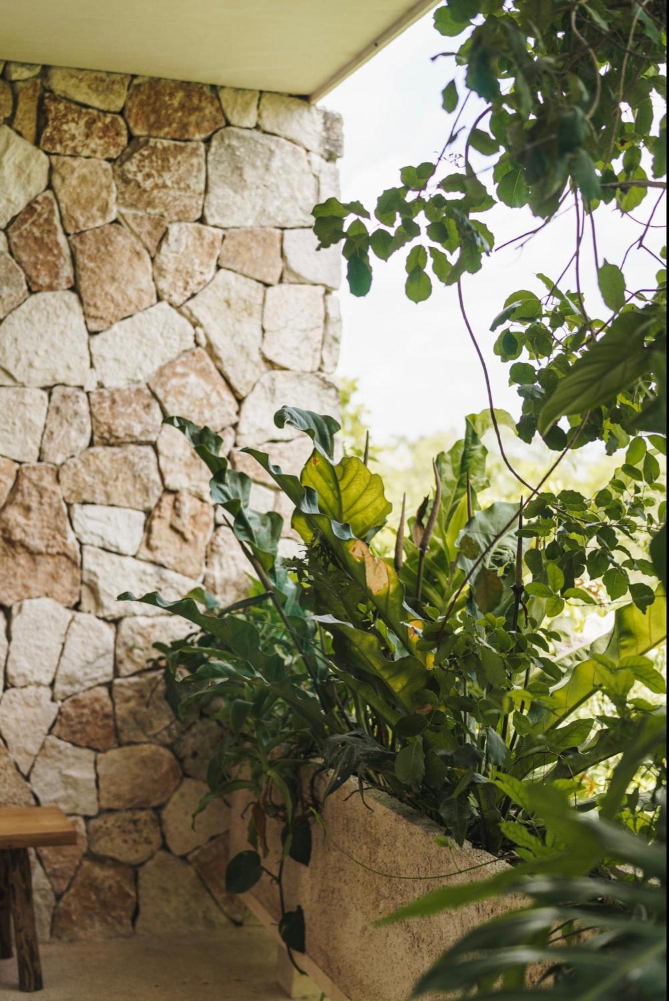 Teva Tulum, Aldea Zama Apartamento Tulum