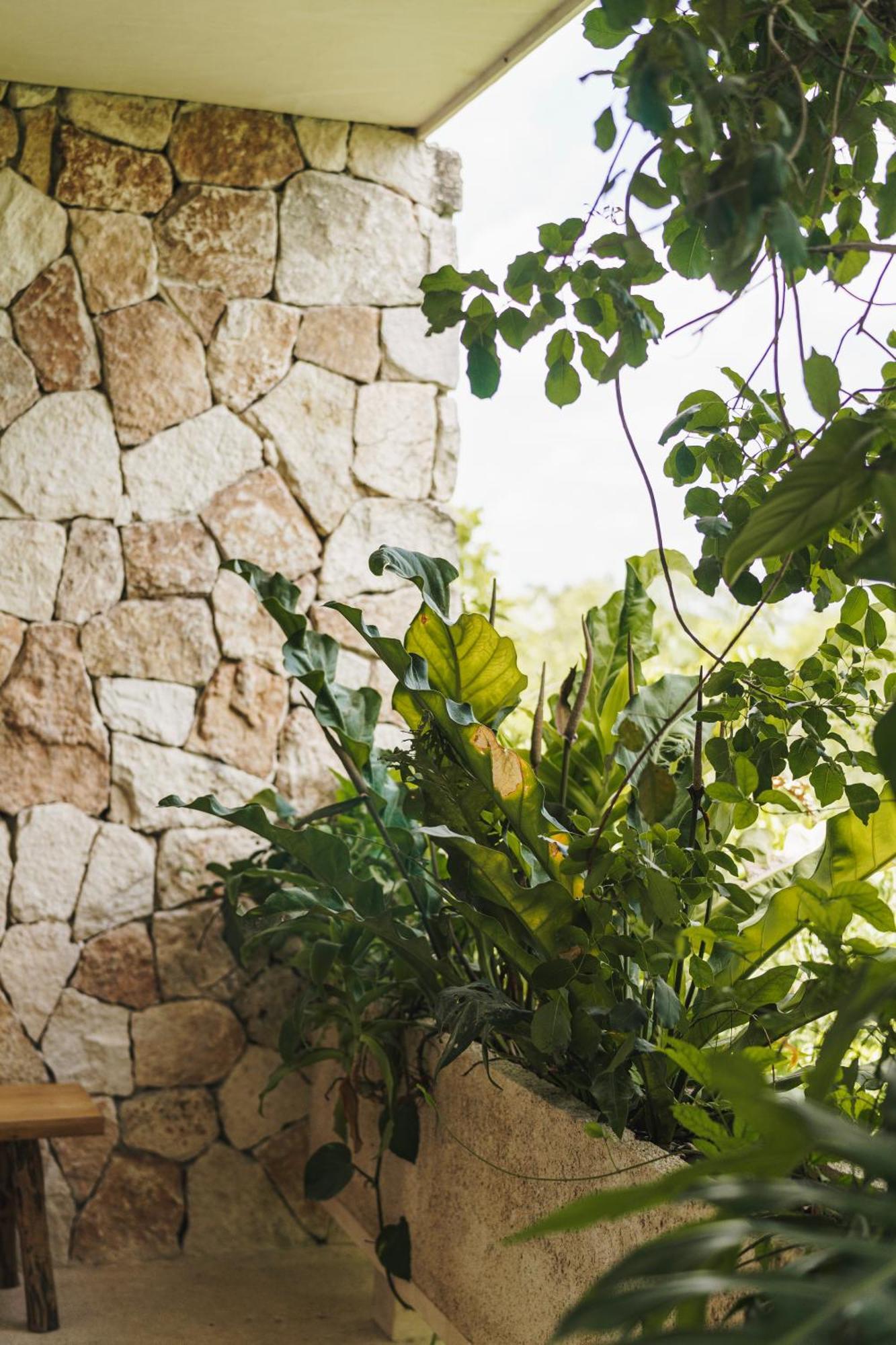 Apartamento Teva Tulum, Aldea Zama