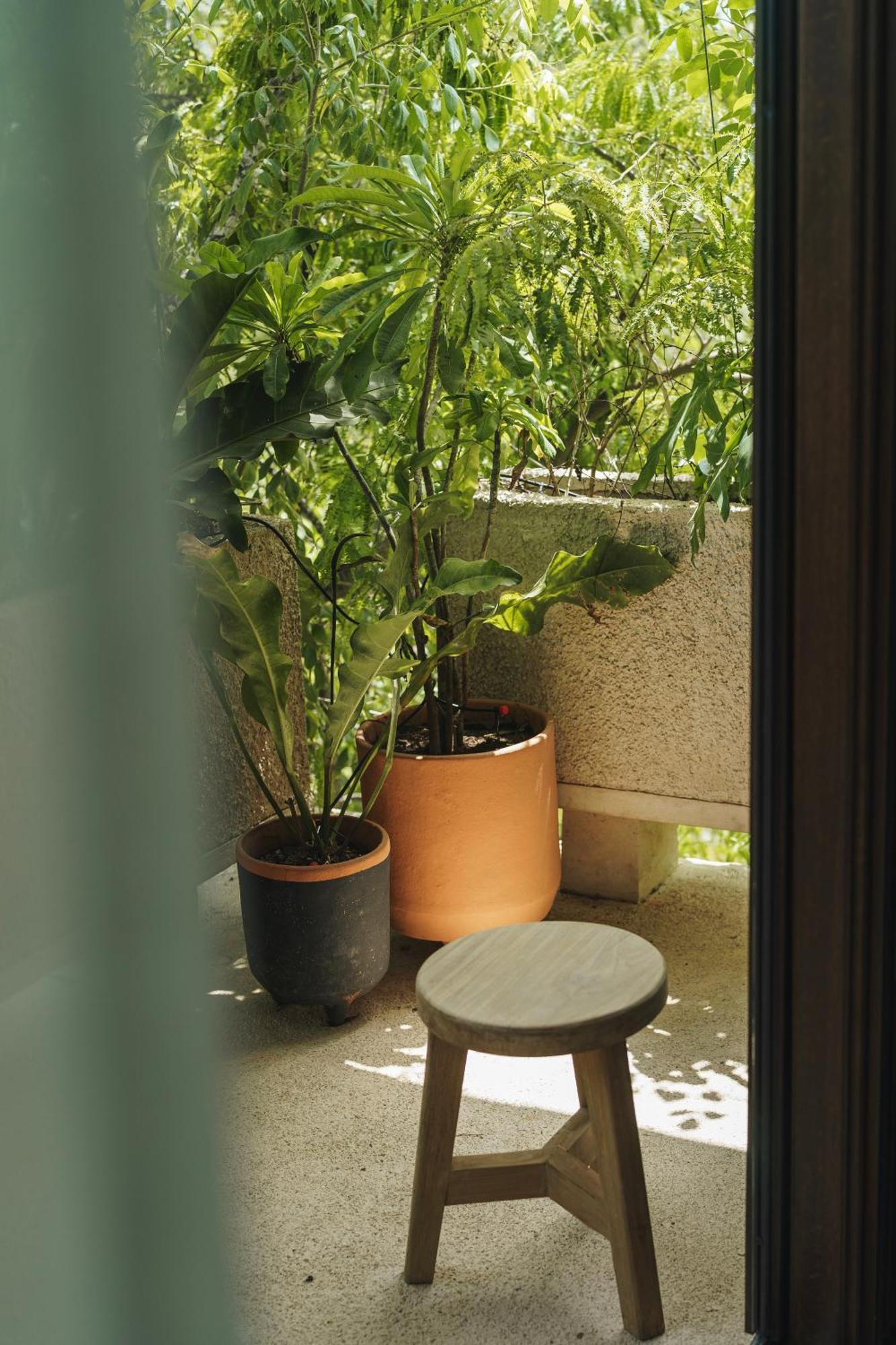 Apartamento Teva Tulum, Aldea Zama *