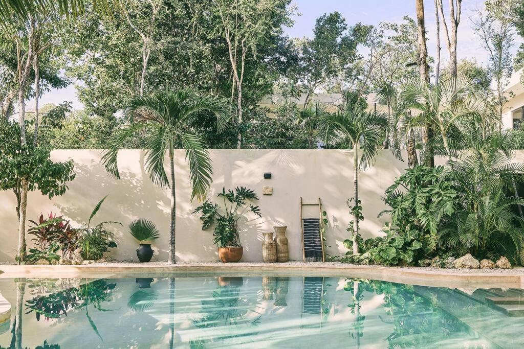 Kuotoch Jungle Retreat-chef & Yacht *