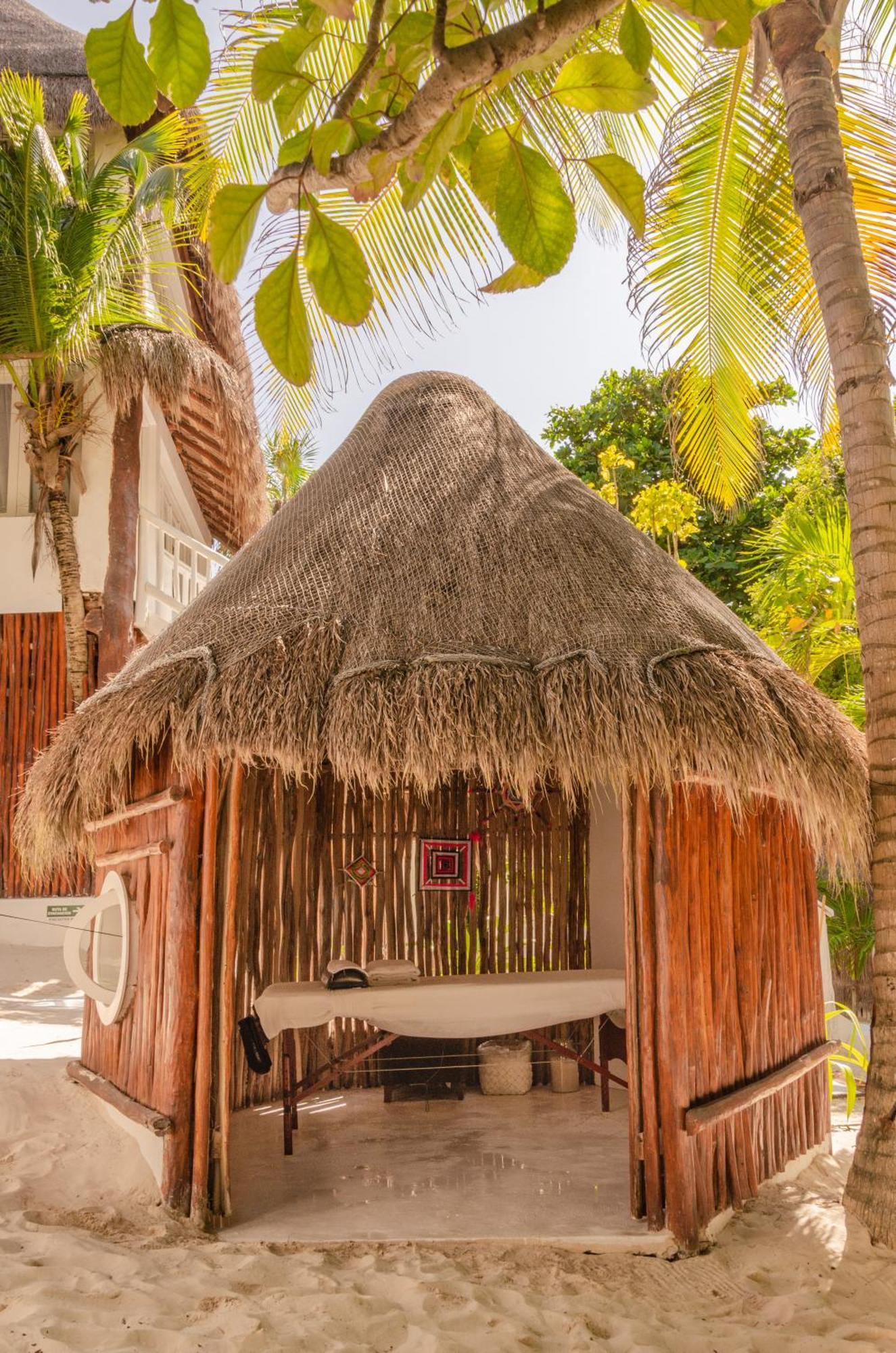 12br Beachfront Private With Infinity Pool By Solmar Tulum