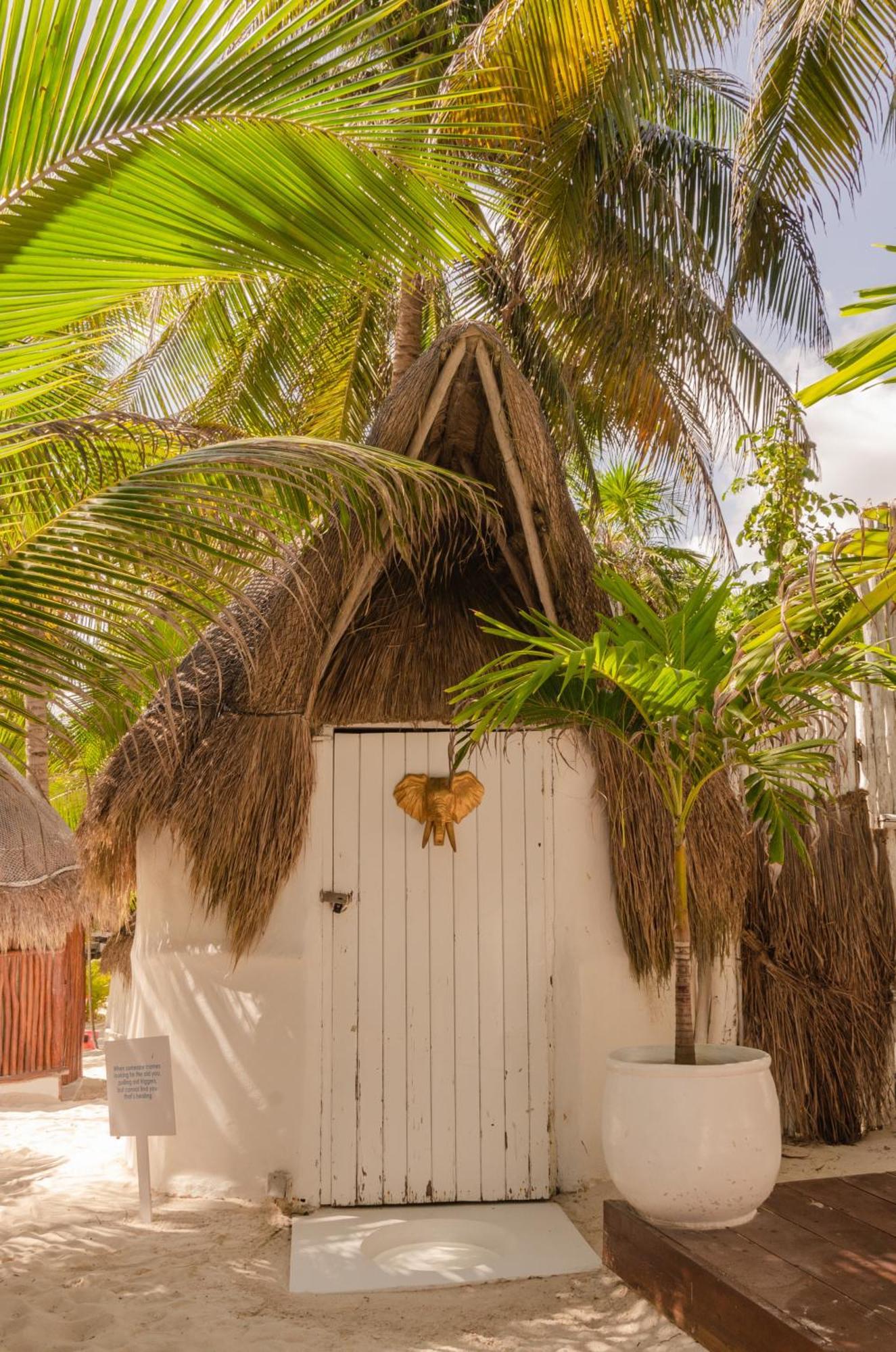 Villa 12br Beachfront Private With Infinity Pool By Solmar