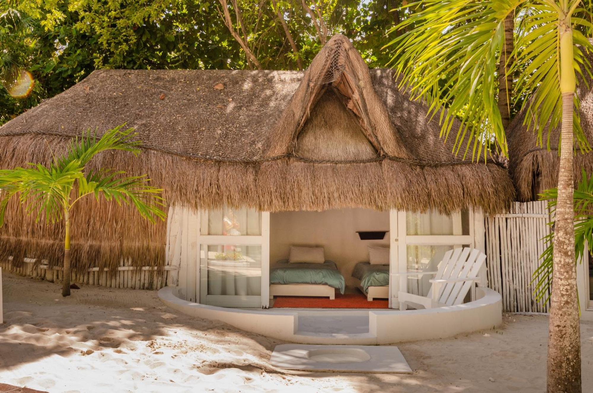 12br Beachfront Private With Infinity Pool By Solmar *