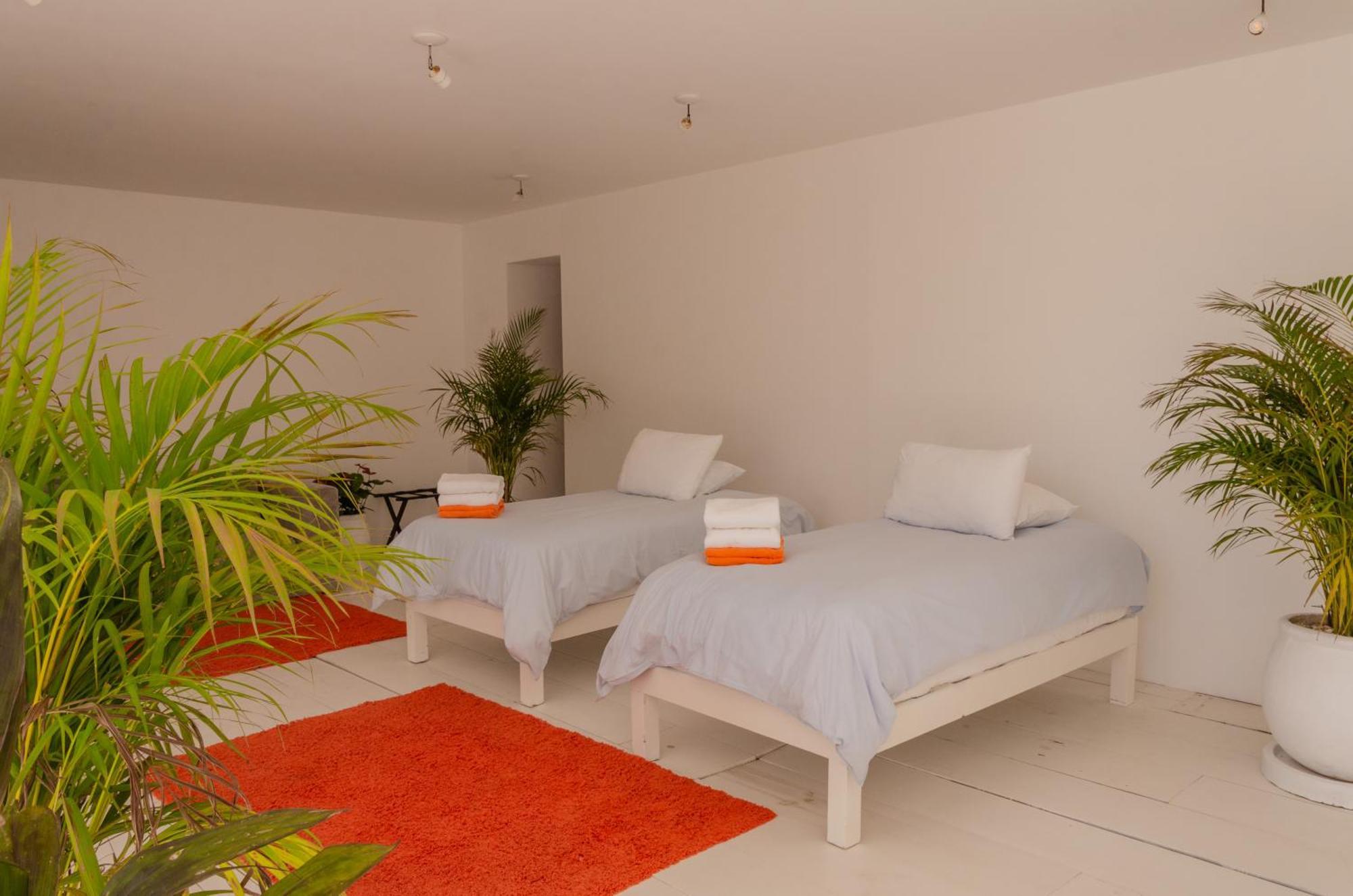 12br Beachfront Private With Infinity Pool By Solmar Tulum