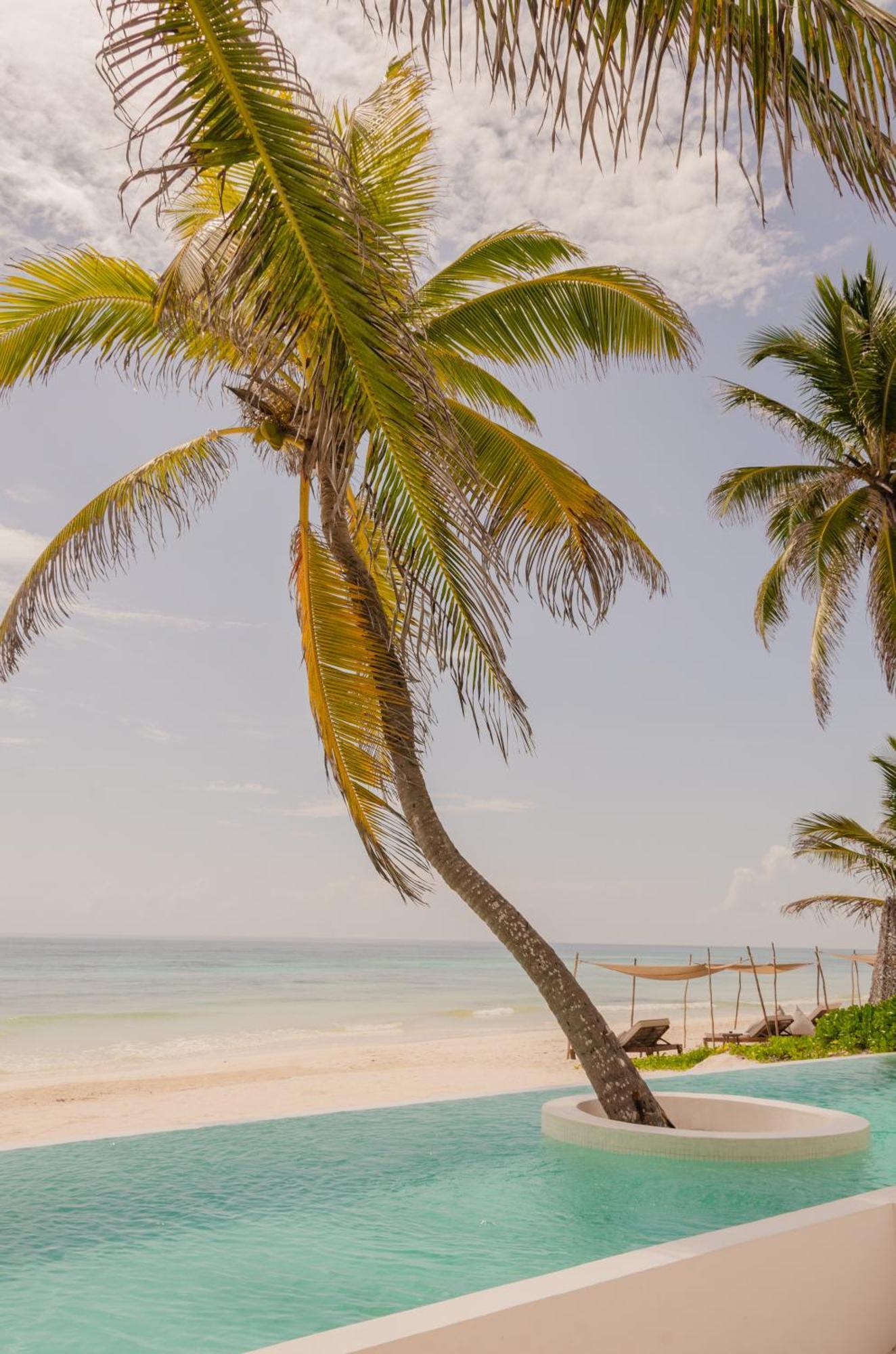Villa 12br Beachfront Private With Infinity Pool By Solmar *