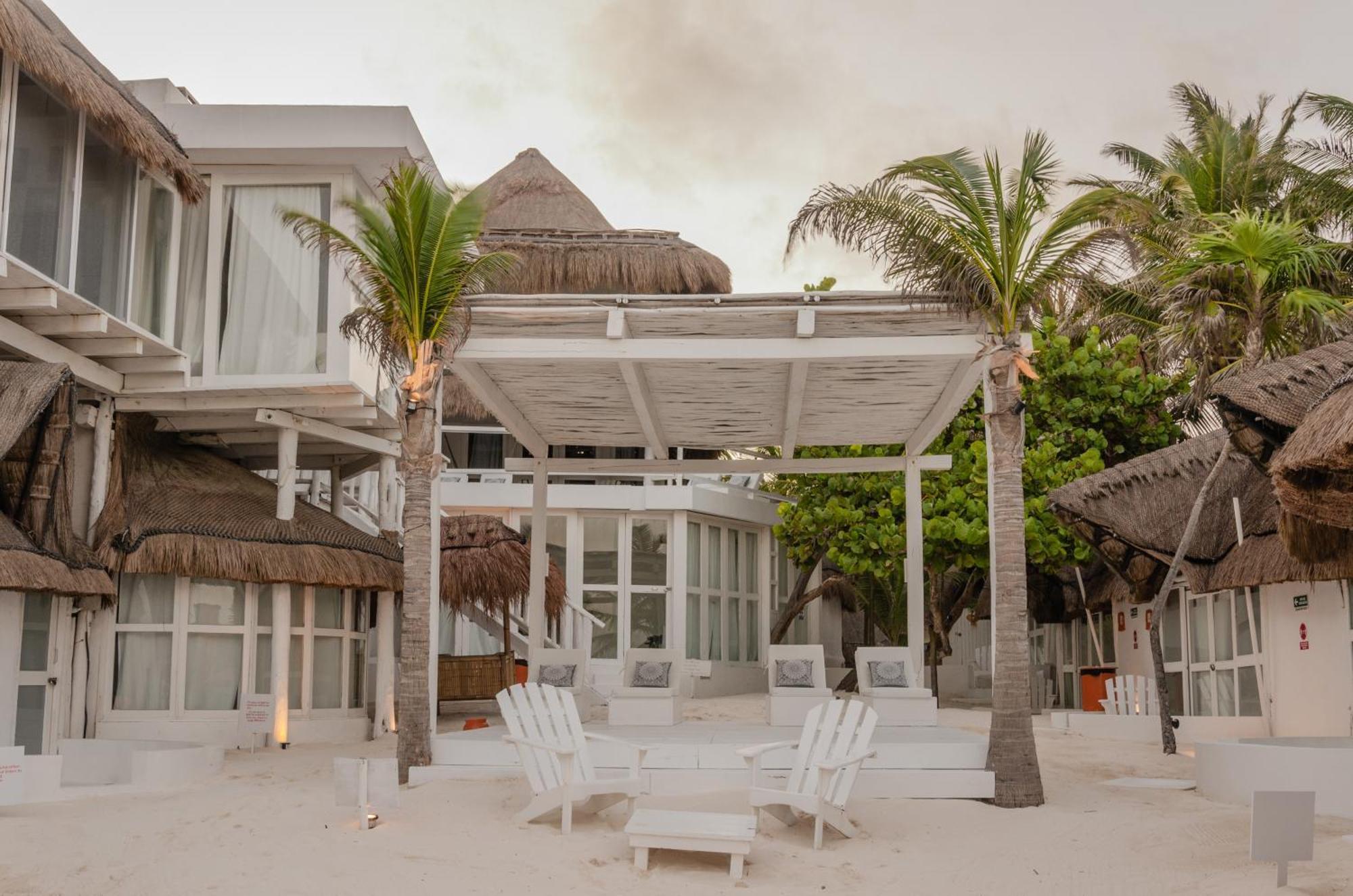 12br Beachfront Private With Infinity Pool By Solmar Villa *