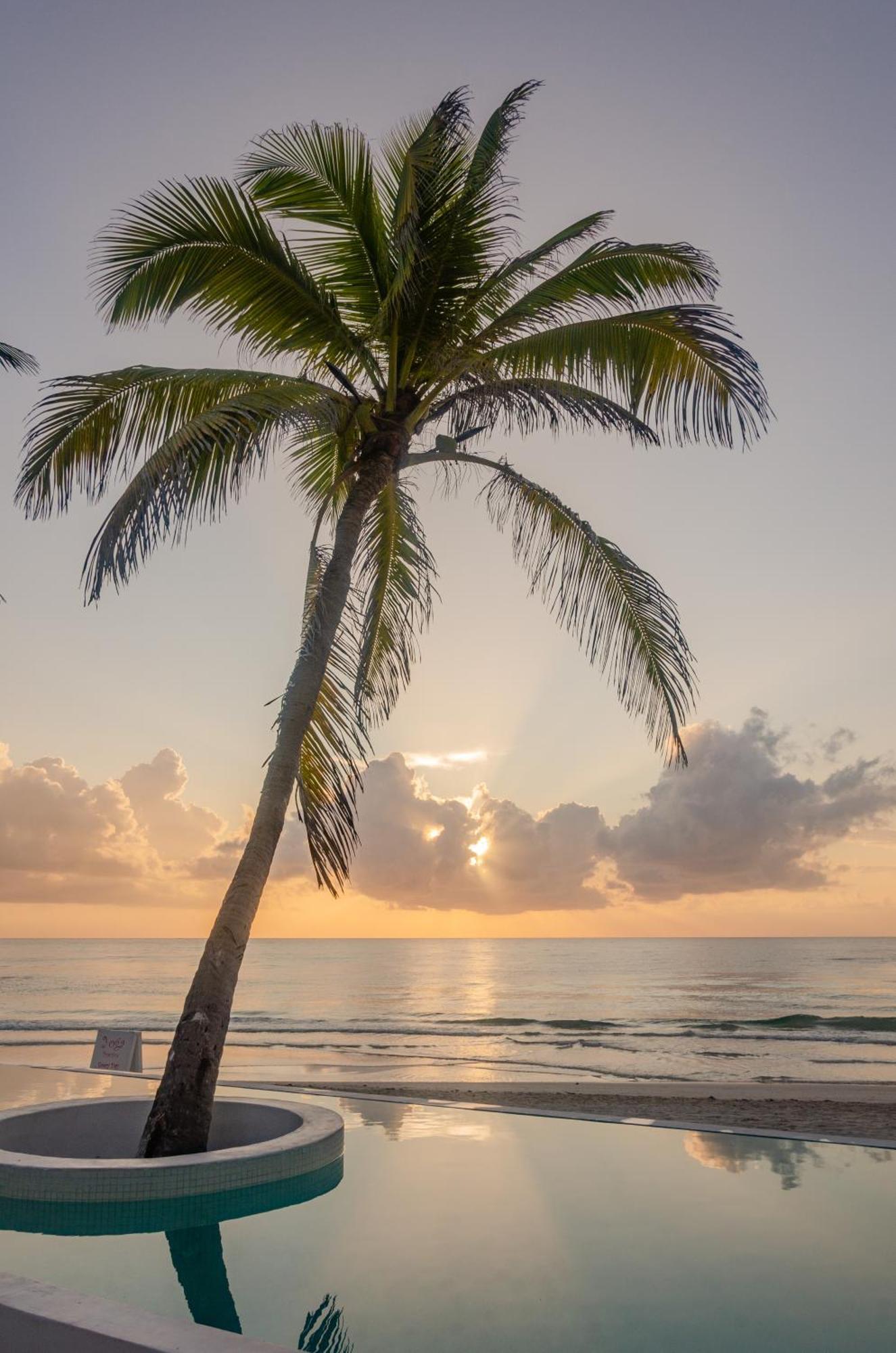 12br Beachfront Private With Infinity Pool By Solmar * Tulum