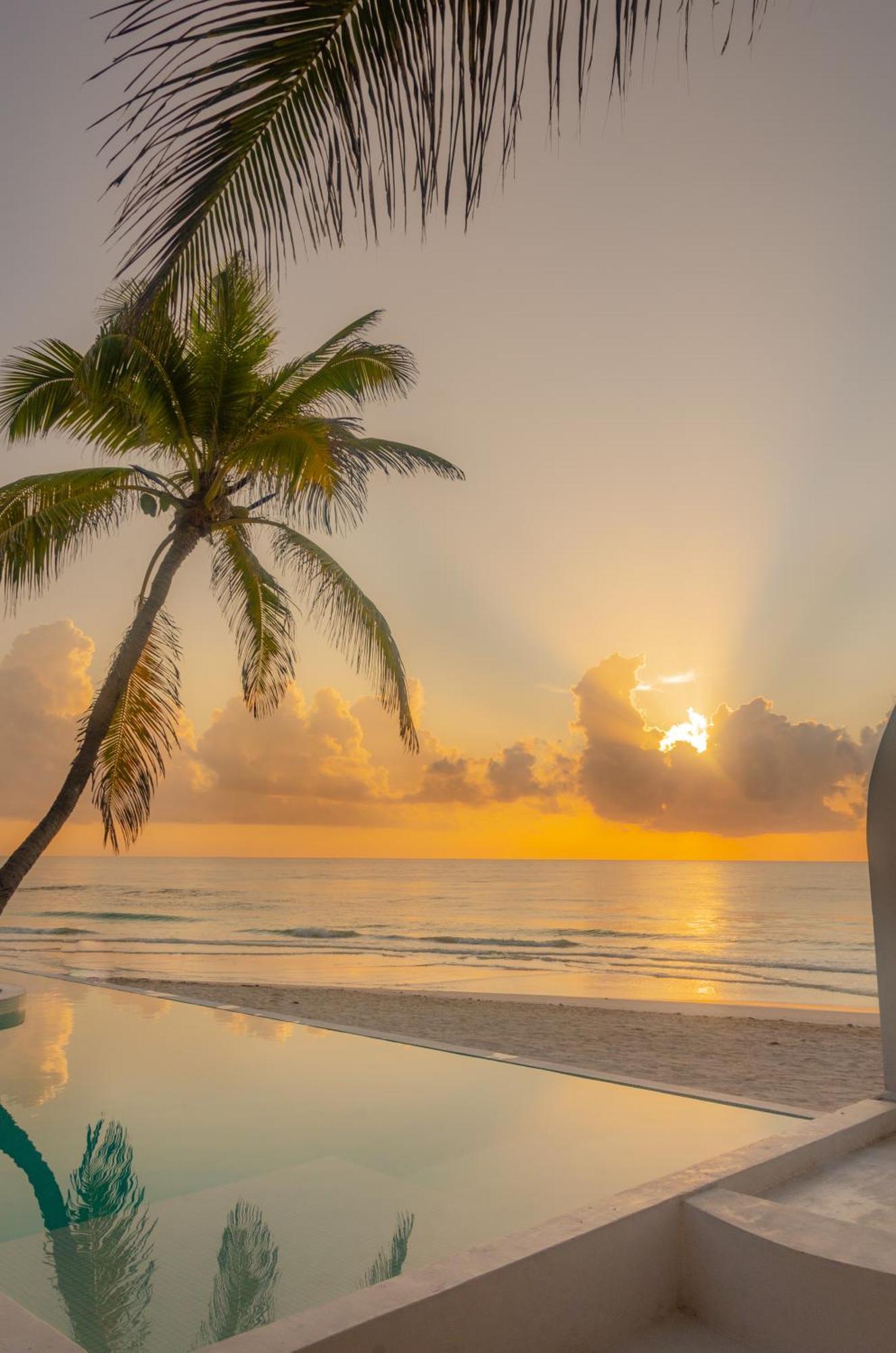 12br Beachfront Private With Infinity Pool By Solmar * Tulum