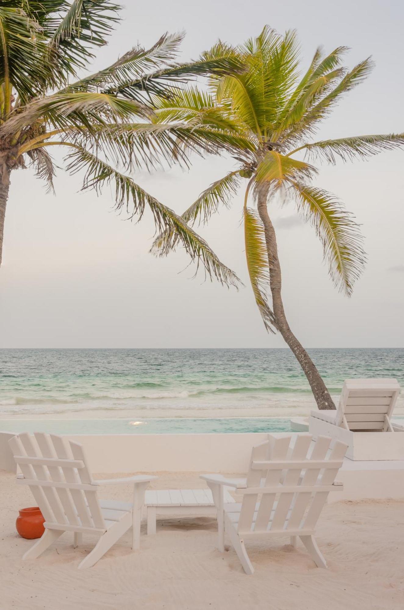 Villa 12br Beachfront Private With Infinity Pool By Solmar Tulum
