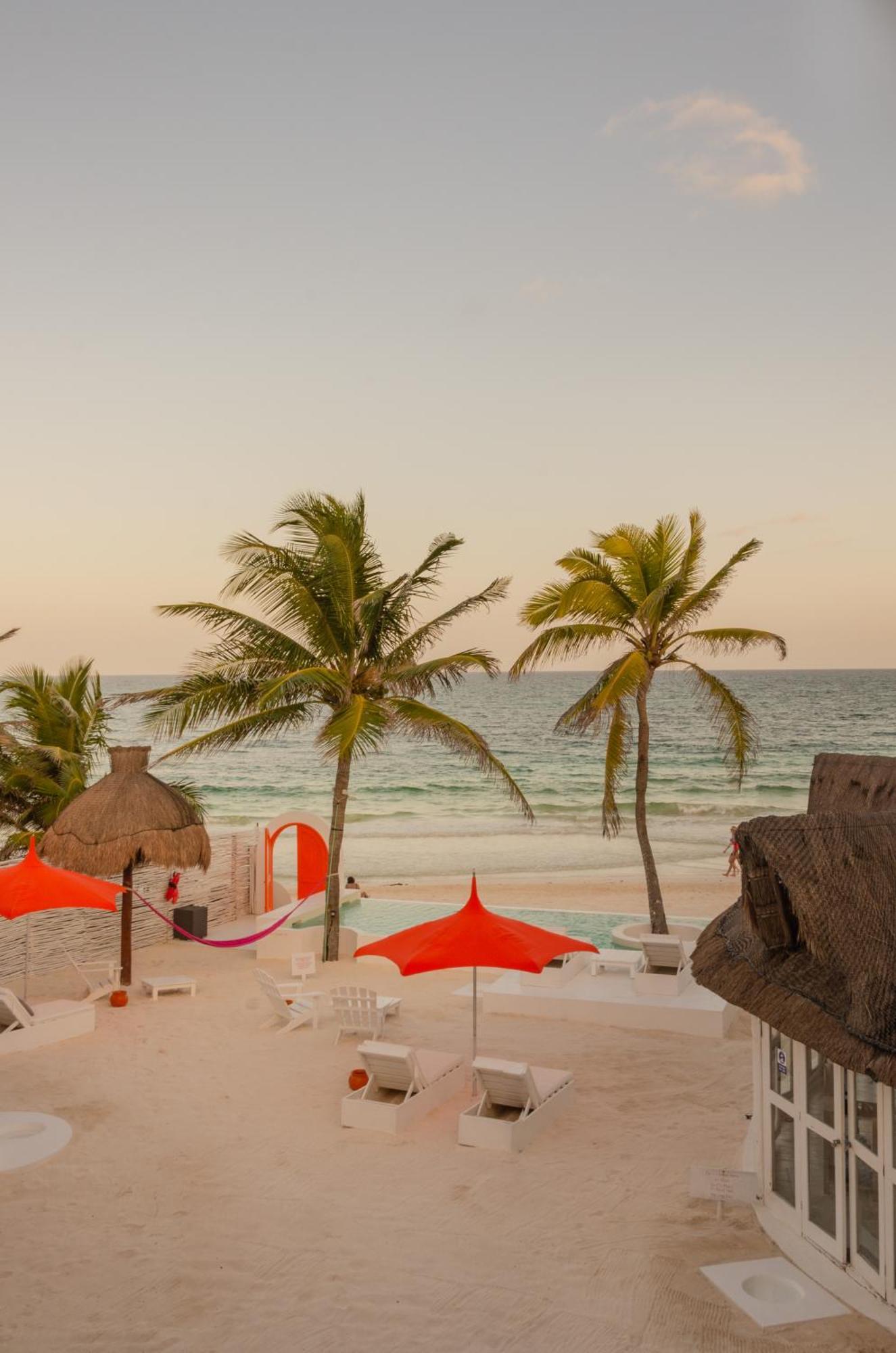 12br Beachfront Private With Infinity Pool By Solmar