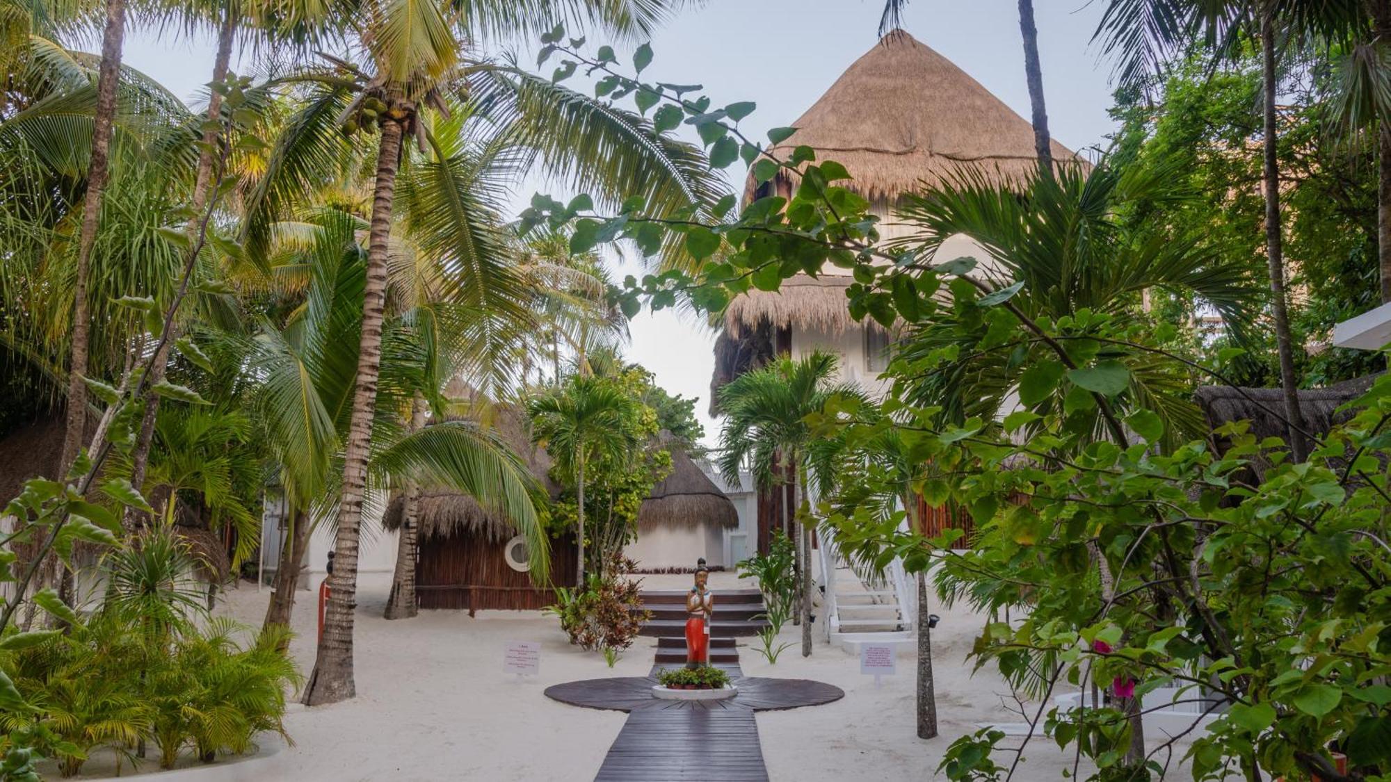 12br Beachfront Private With Infinity Pool By Solmar * Tulum