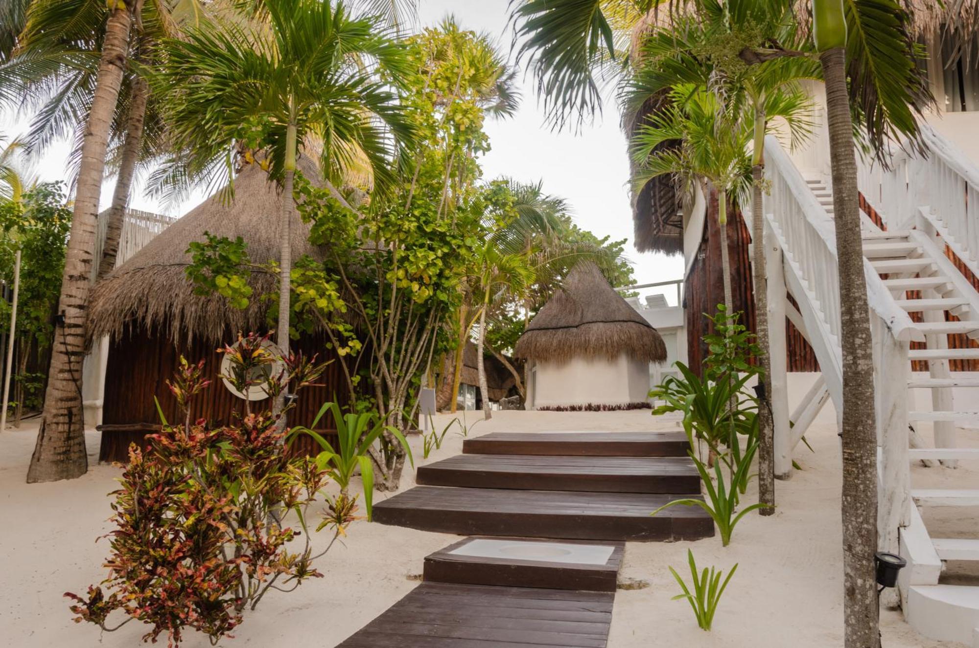 12br Beachfront Private With Infinity Pool By Solmar Villa