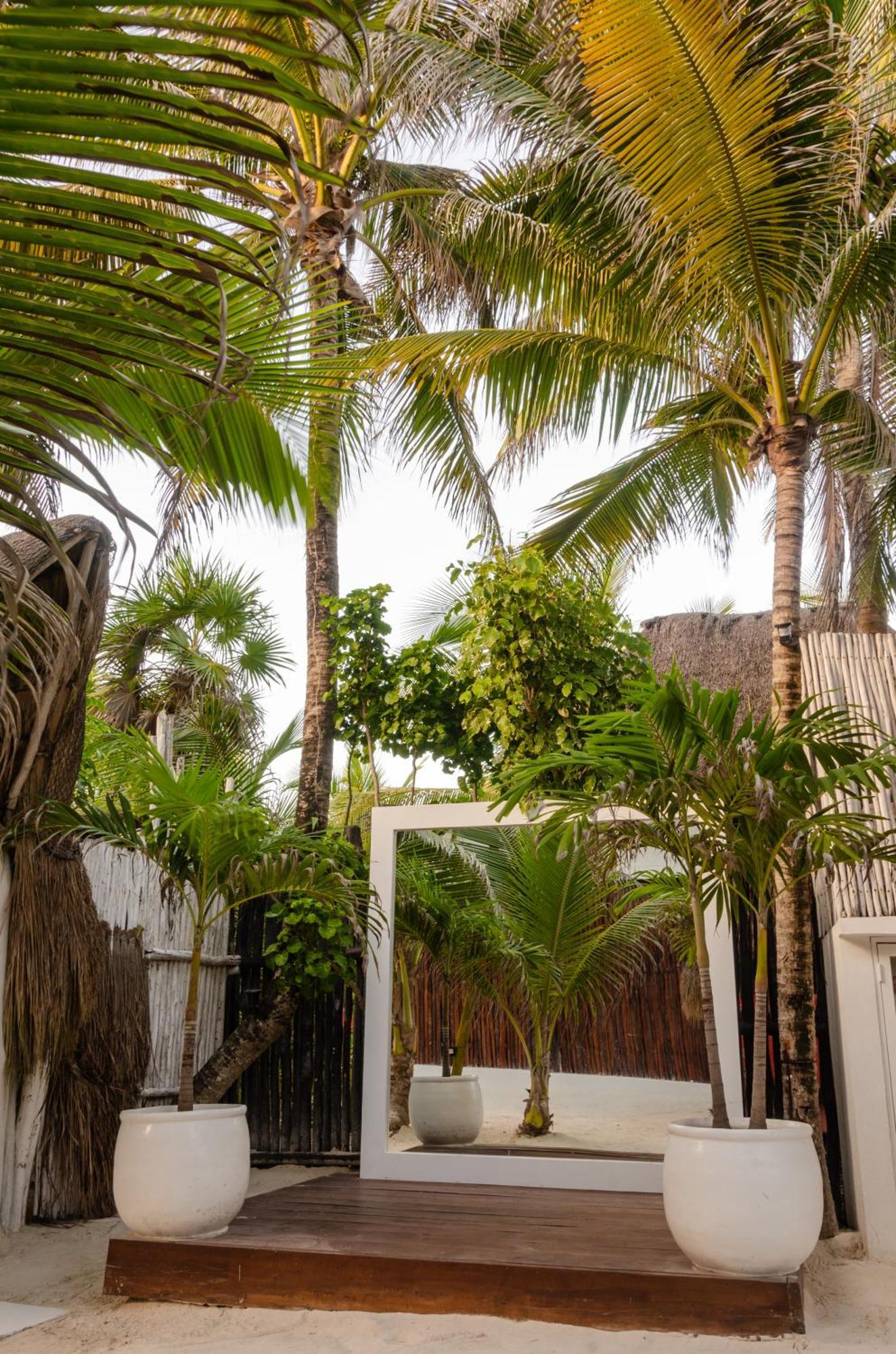 12br Beachfront Private With Infinity Pool By Solmar