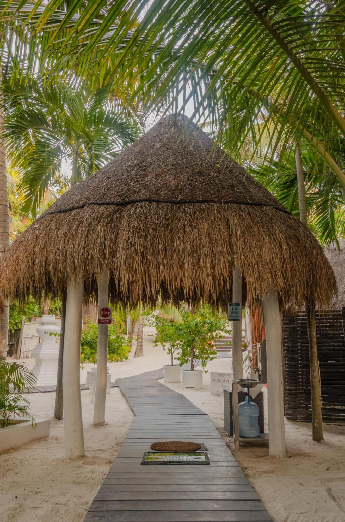 12br Beachfront Private With Infinity Pool By Solmar Villa *