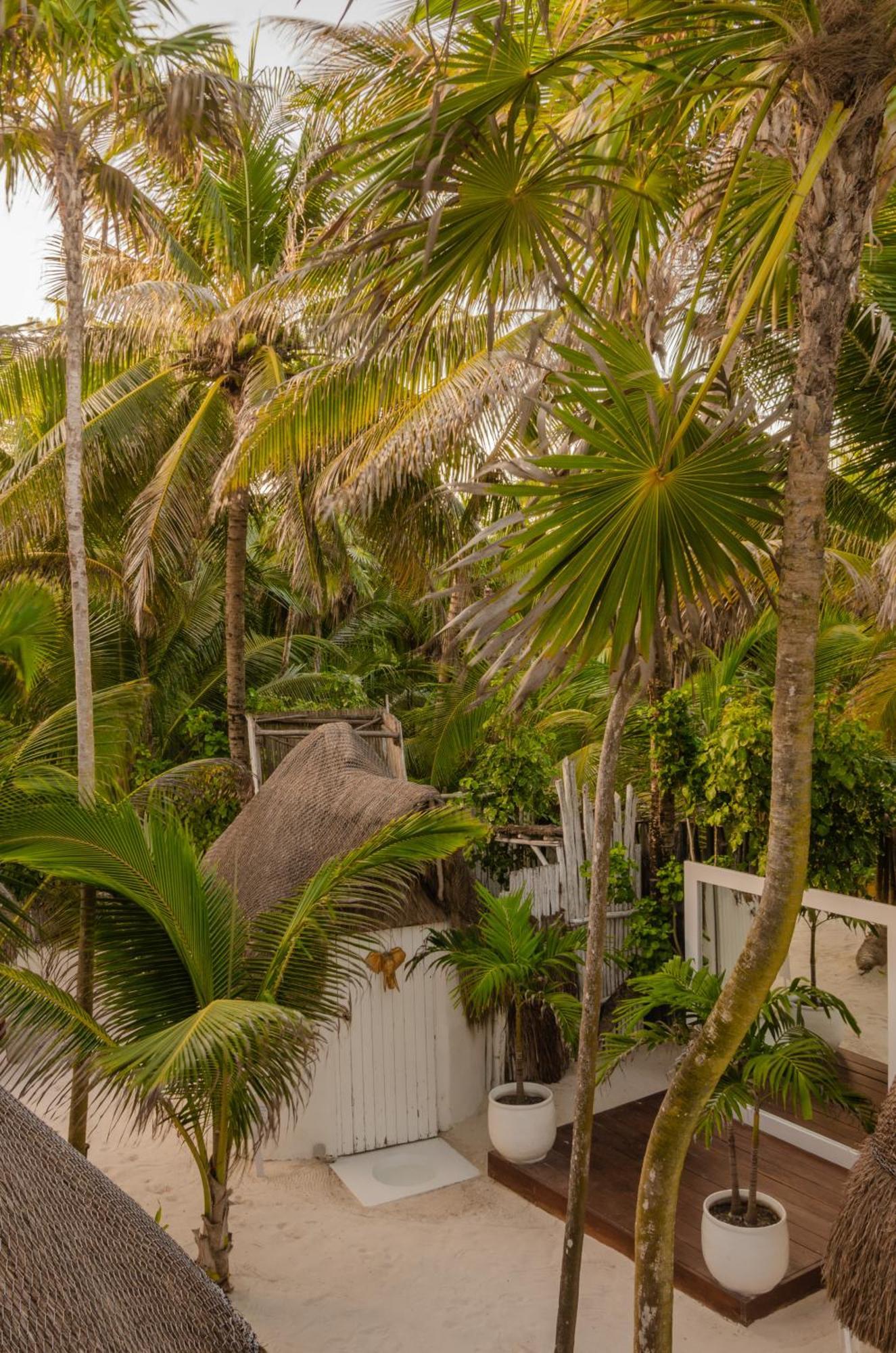 12br Beachfront Private With Infinity Pool By Solmar *