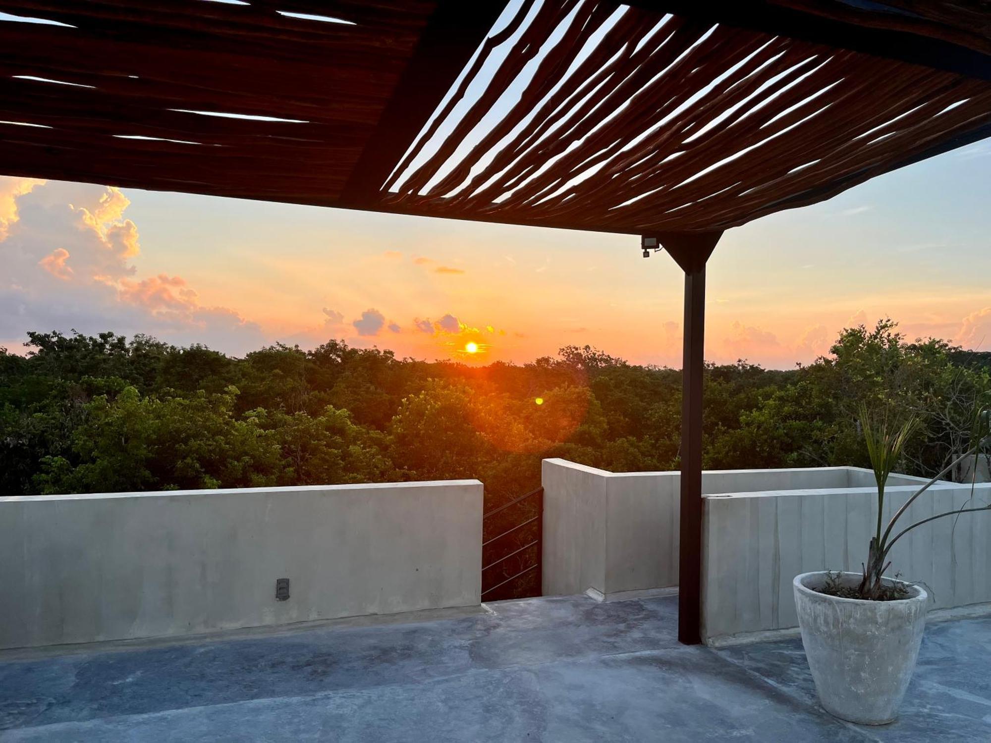Apartamento Oasis In The Jungle -