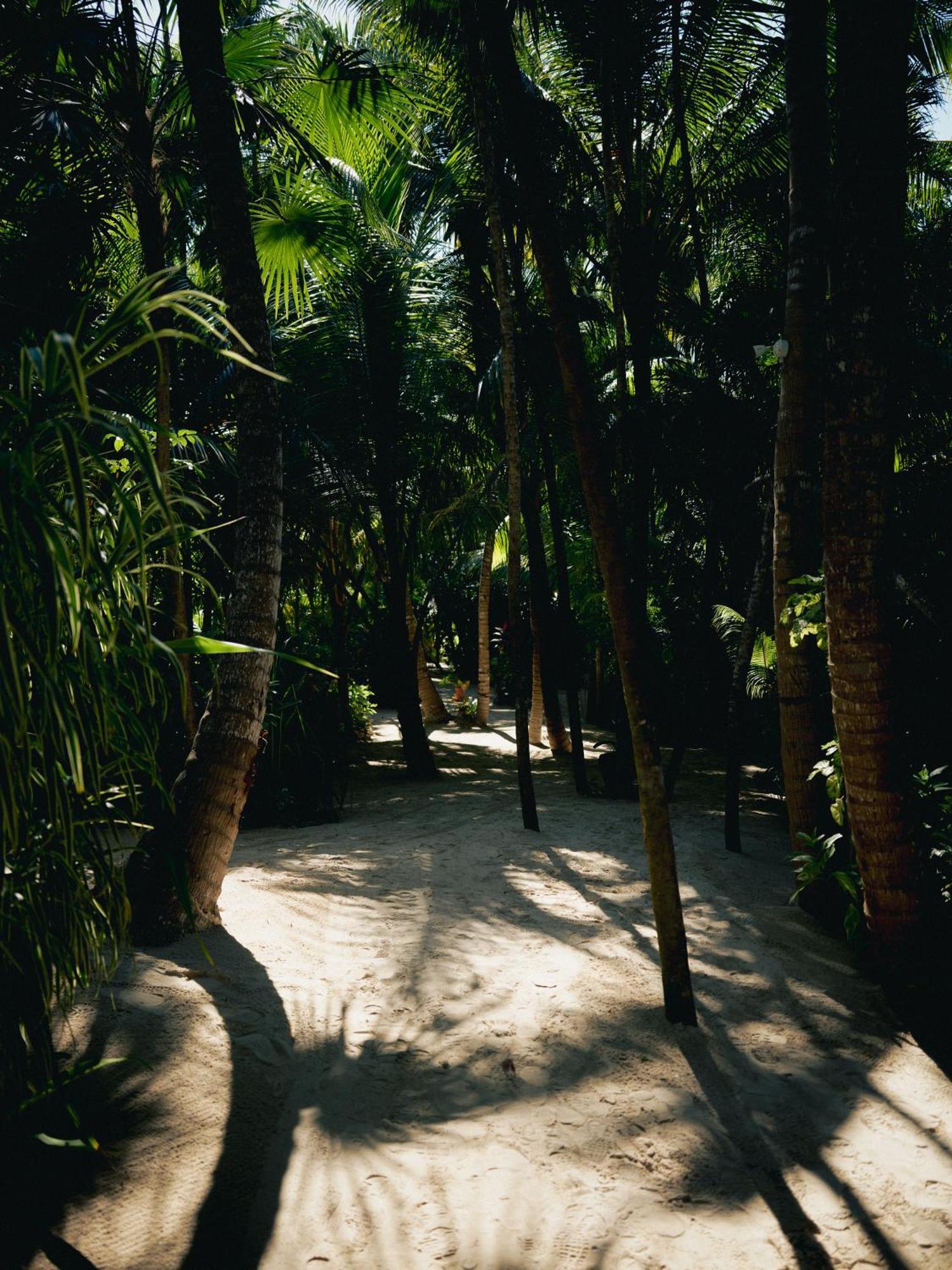 Nomade 4* Tulum
