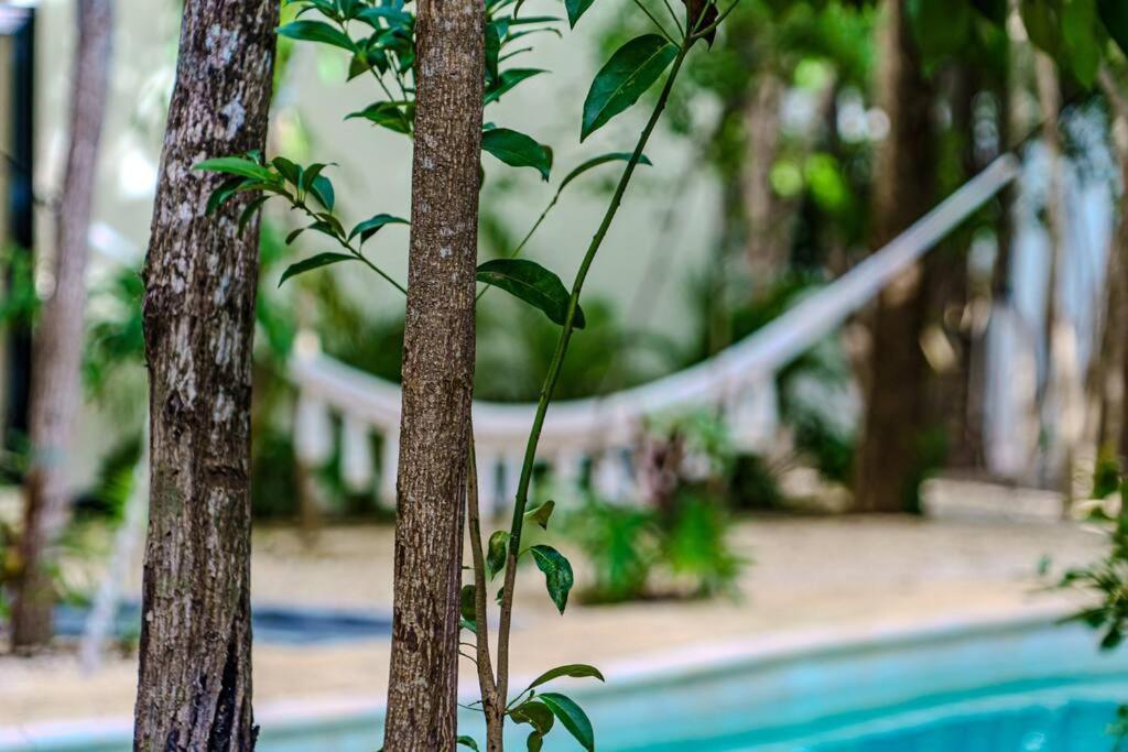 Private Pool & Bedroom Paradise Apartamento
