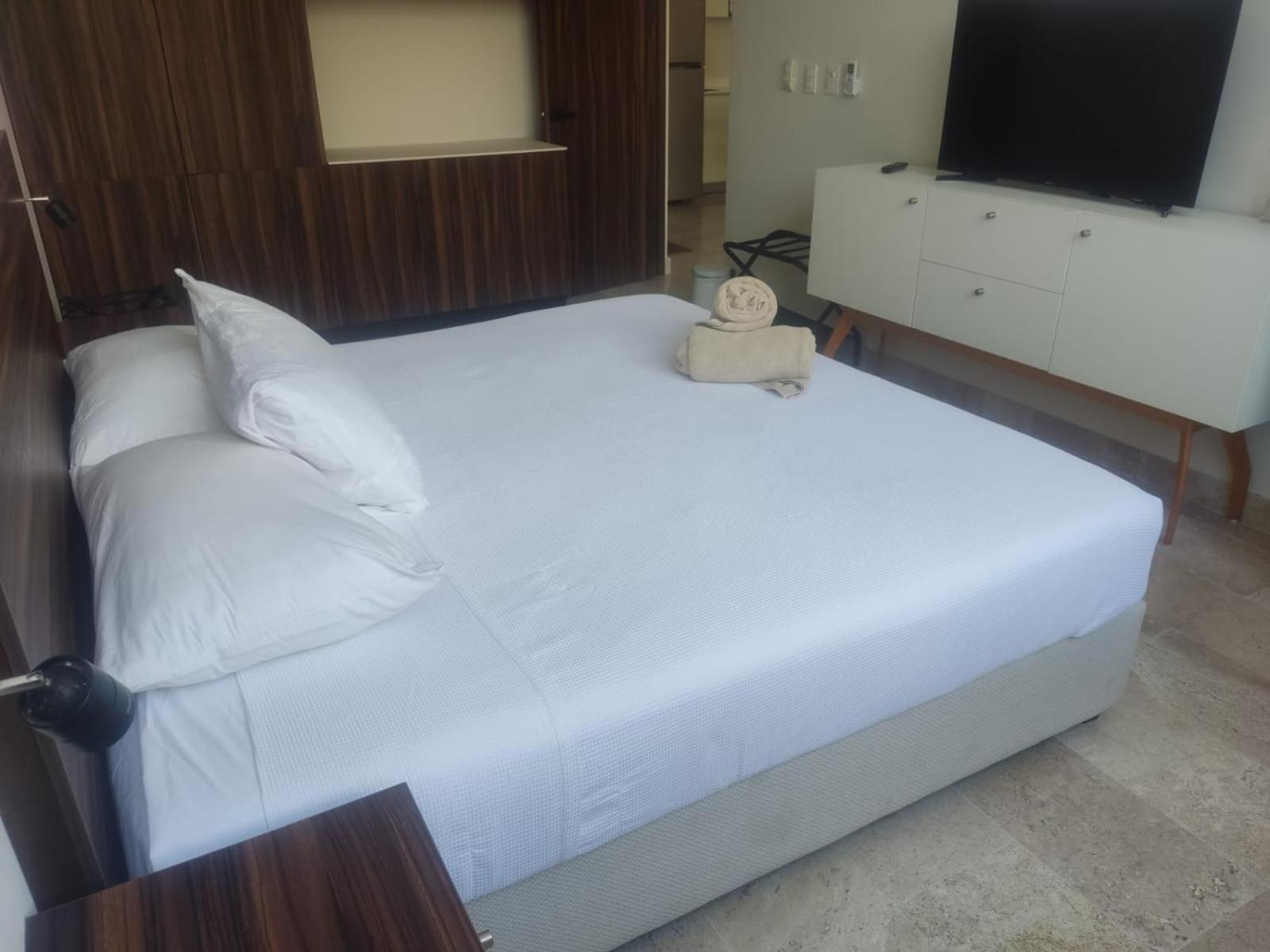 Apartamento 1 Dorm Amplia Terraza Aldea Zama