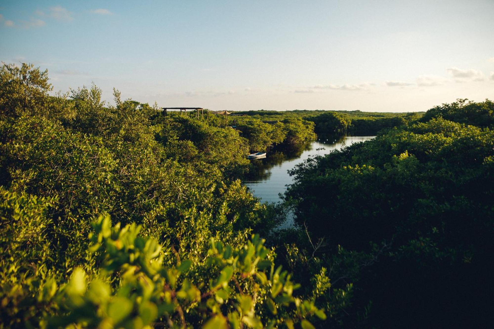 Uman Glamping & Cenote Campo de lujo